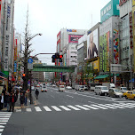 main street in akihabara in Akihabara, Japan 