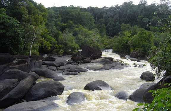 Saut Grand Kanori. Photo : http://www.bontikote.com/regina/saut-grand-kanori