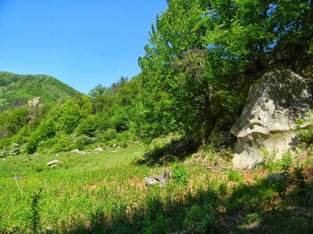 [DSCN92783.jpg]