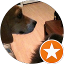 Matt Gilbride profile picture