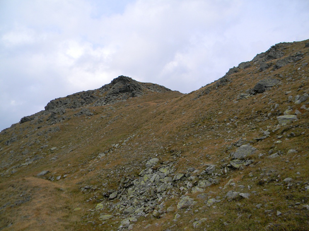 [DSCN63923.jpg]