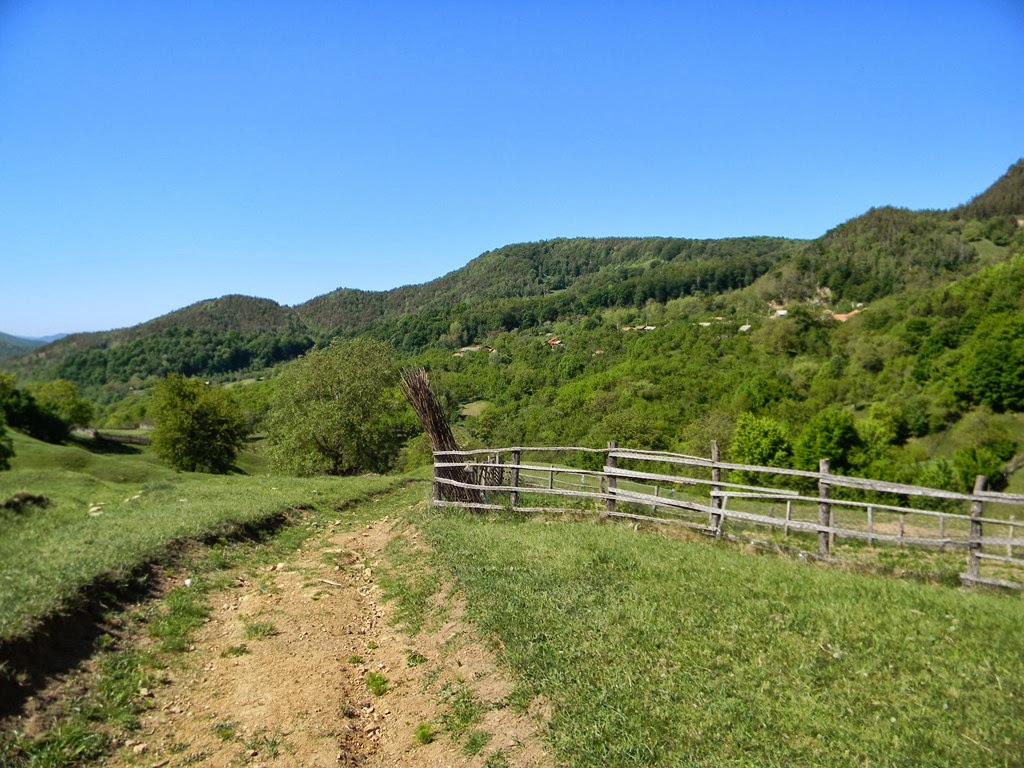 [DSCN90913.jpg]
