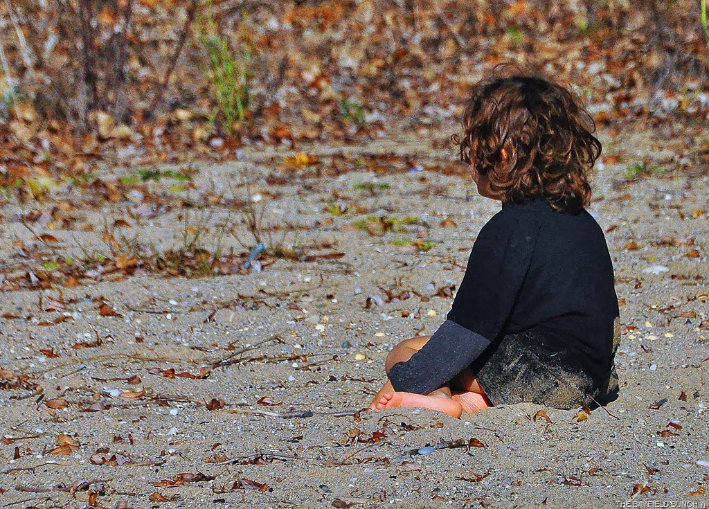 [DSC_0030%255B8%255D.jpg]