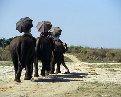 [chitwan%255B2%255D.jpg]