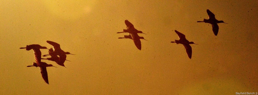 [DSC_0004%255B3%255D.jpg]