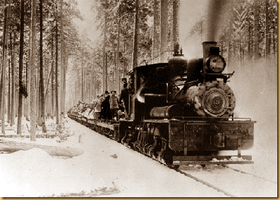 Logging white pine log car & Shay locomotive narrow gauge rail 2