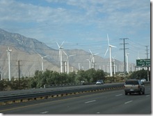 IMG_7921 IMG_7921