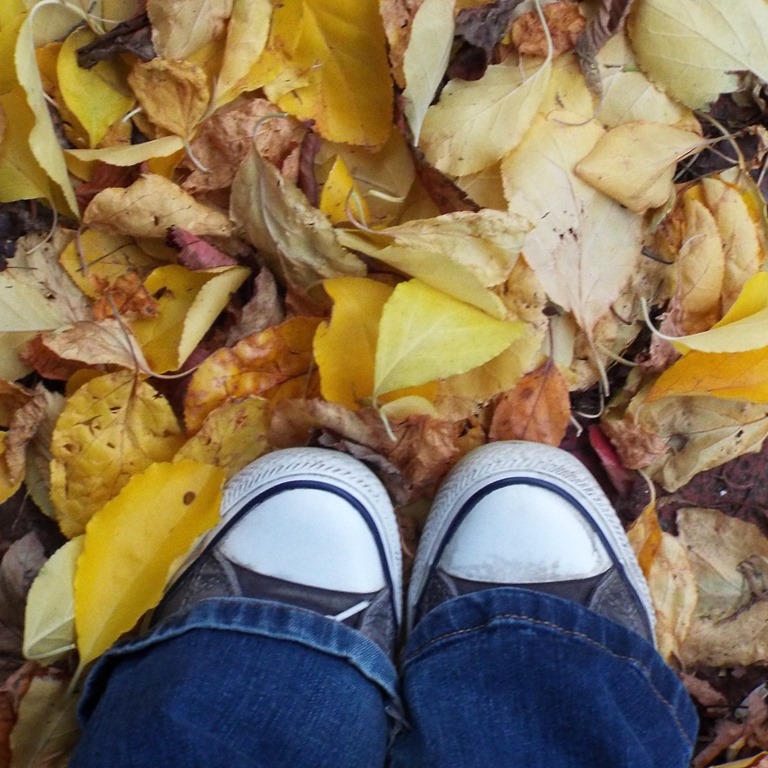 [yellow-leaves-and-converse5.jpg]