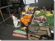 IMG_0105 IMG_0105