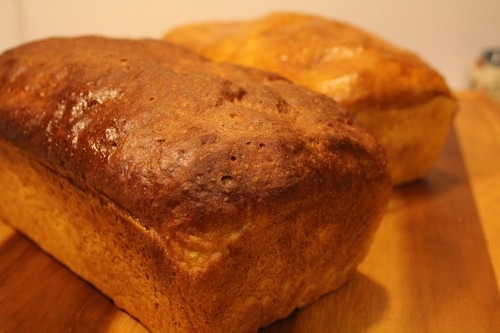 pumpkin-yeast-bread000001