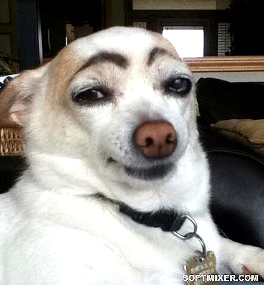 [clip_image001%255B21%255D.jpg]