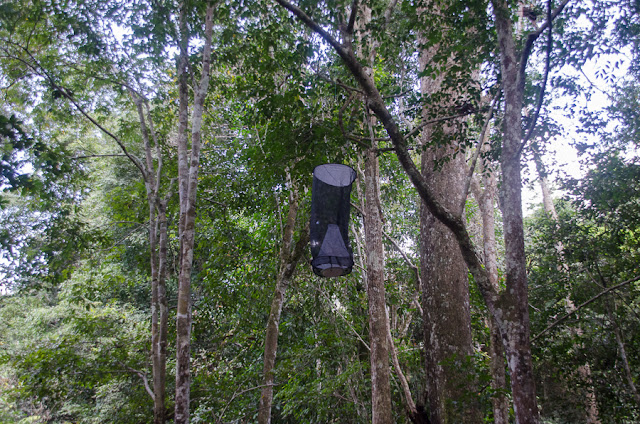 Piège. Ebogo (Cameroun), 20 avril 2013. Photo : C. Basset