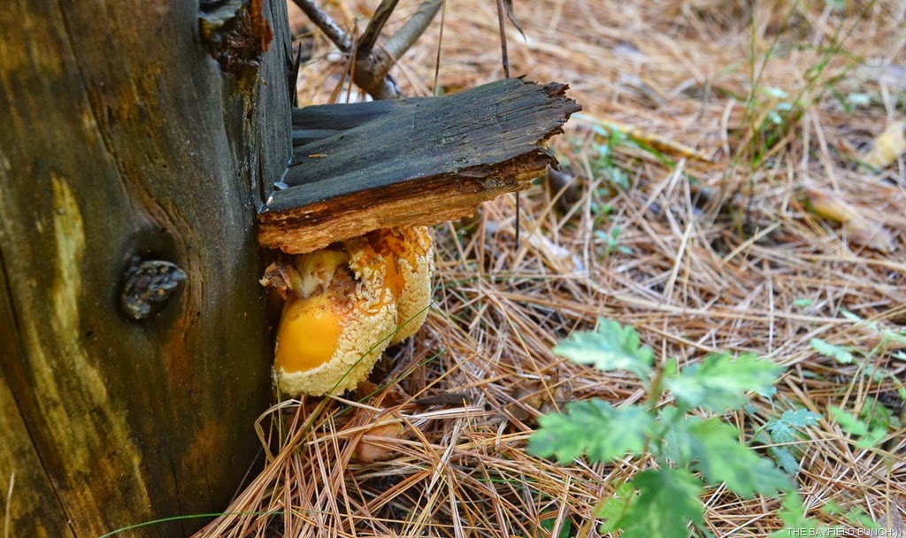 [DSC_0017-002%255B3%255D.jpg]