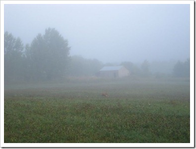 20120802_morning-mist_004