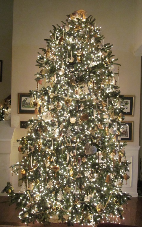 [tree-decorated-with-flash5.jpg]