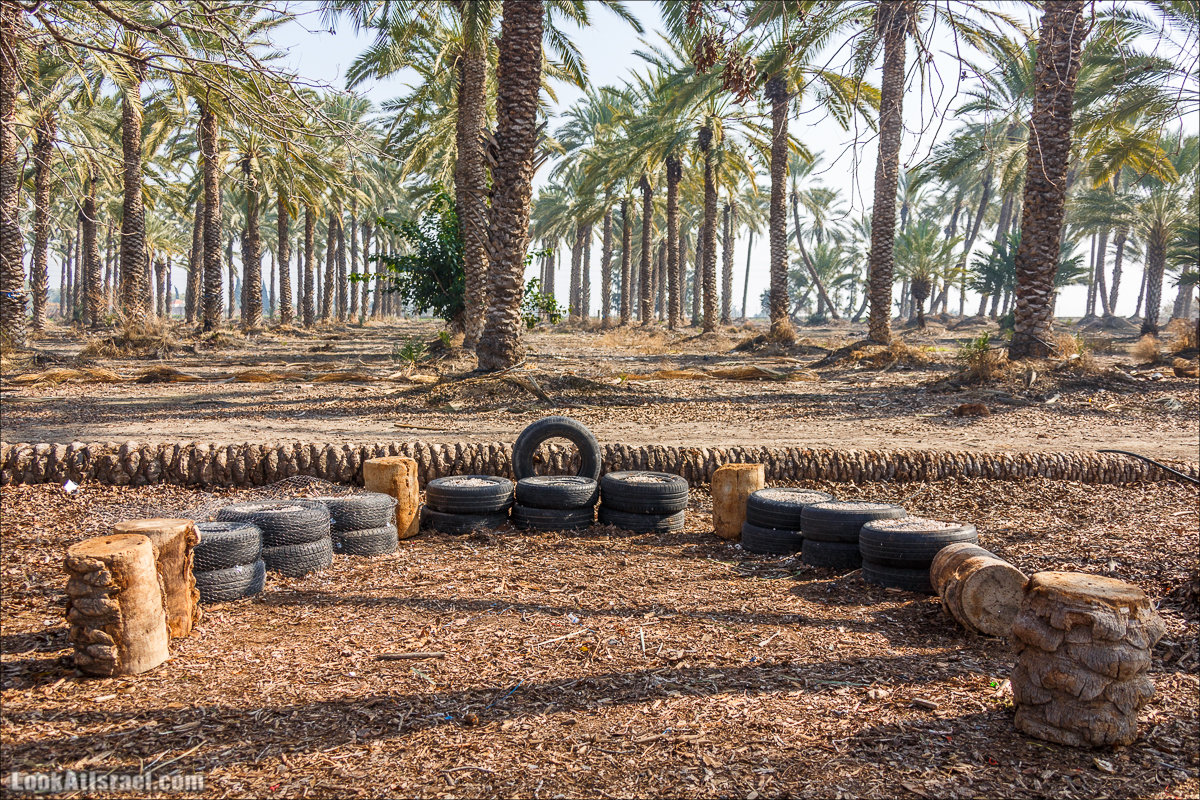 Сельскохозяйственная школа Хава бе-Эден | Hava be-Eden farm | LookAtIsrael.com - Фото путешествия по Израилю | חווה בעדן