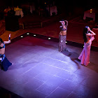 IMG_7263.jpg IMG_7263.jpg