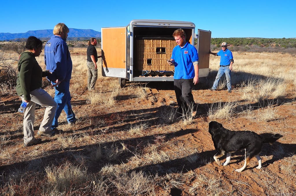 [DSC_0099-002%255B3%255D.jpg]