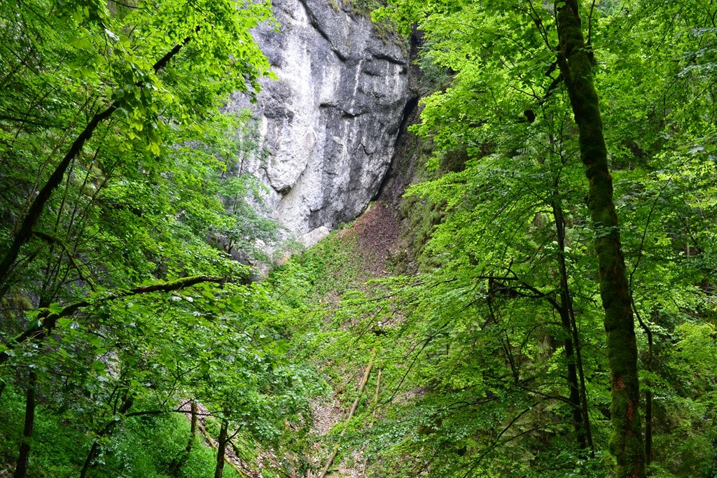 [DSC_02273.jpg]
