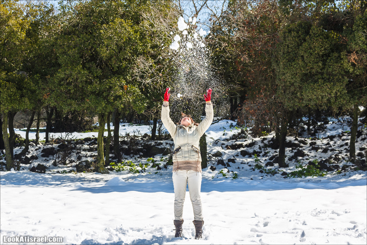 LookAtIsrael.com | Снег в Израиле, Голанские высоты и Галилея | Snow in Israel, Golan Heights and Galilee | שלג בישראל, רמת הגולן וגליל