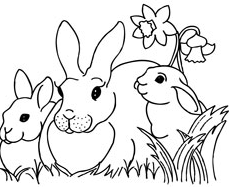 [Bunny%2520Family%255B5%255D.png]