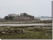 IMG_1786 IMG_1786
