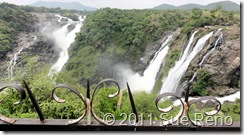 SueReno_Shivanasamudra Falls 9