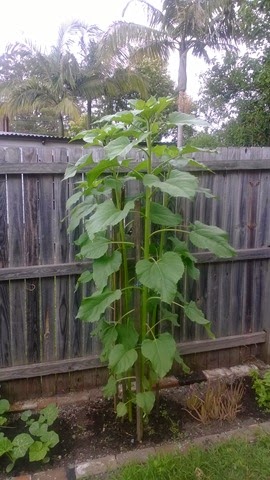 [WP_20131212_002%255B3%255D.jpg]