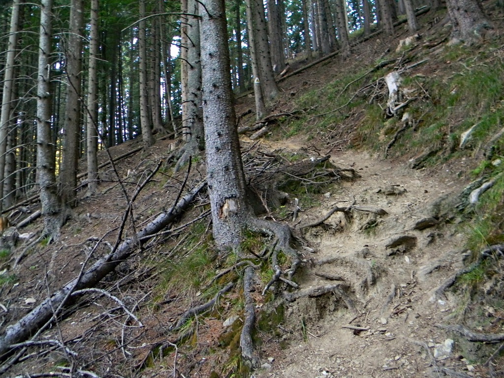 [DSCN57963.jpg]