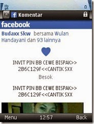 kiriman.penipu.facebook.pin.bb.bbm.cewek (4)