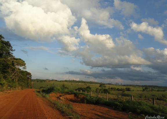 Prairies. Colider (Mato Grosso, Brésil), 4 février 2010. Photo : Cidinha Rissi