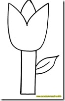 primavera-tulipan-01
