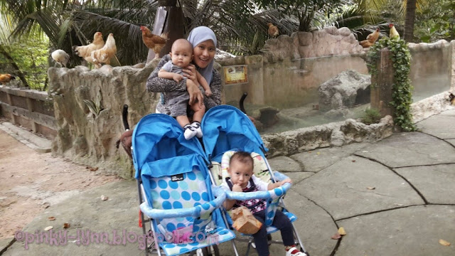 Bawa Anak Kenali Haiwan Secara Dekat di Farm In The City, Seri Kembangan Bawa Anak Kenali Haiwan Secara Dekat di Farm In The City, Seri Kembangan