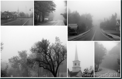 fog collage1014