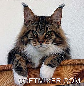 [big.f6cd17ad1dd1b0ec23839ba01817a08c%255B9%255D.jpg]