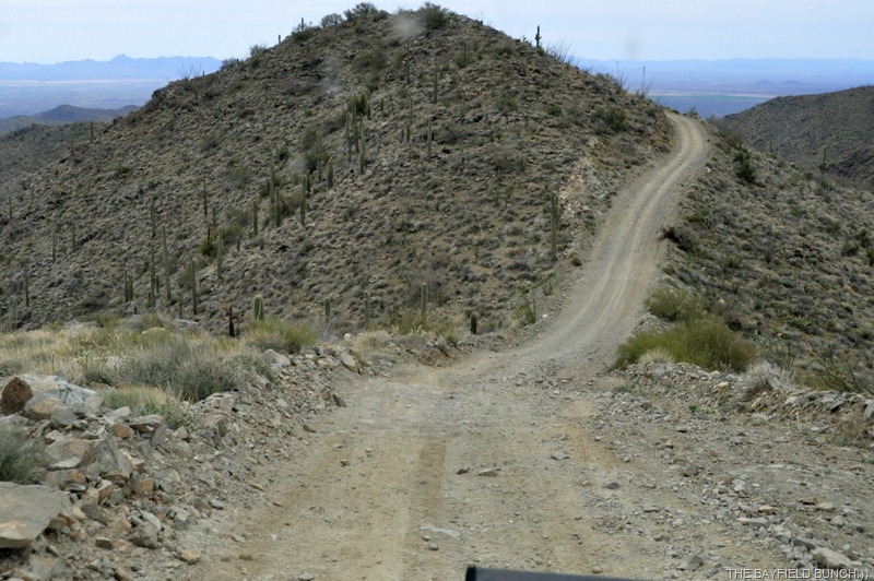 [DSC_0072%255B4%255D.jpg]