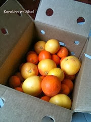 oranges commande