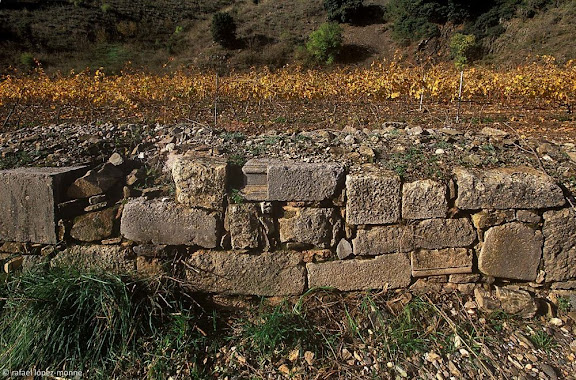 Murs de pedra seca amb carreus i dovelles de l'antiga cartoixa de Scala Dei.Vinyes del Celler Scala Dei. DOQ Priorat.La Morera de Montsant, Priorat, Tarragona2003.11