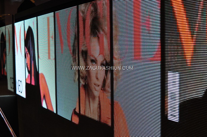 DSC_0512