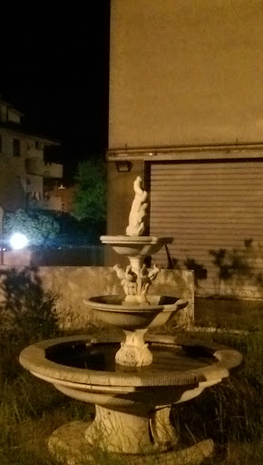 Fontana Del Picchio Marchigiano