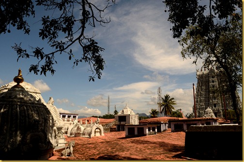 suseendram-temple-terrace