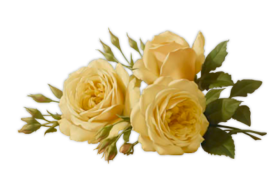 Image7RoseBlush_LR1.png