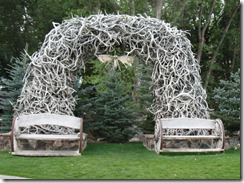 IMG_7178 IMG_7178