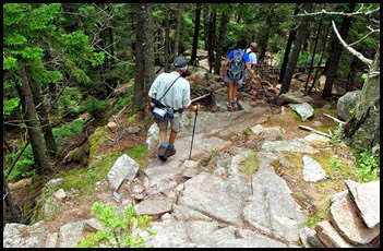 02q5 - Pemetic Mtn Hike - Hiking down the south ridge - Be More Careful