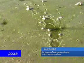 Поиск рыбака