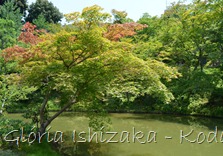 Glória Ishizaka - Kodaiji Temple - Kyoto - 2012 - 29