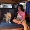 Ana Abbit Avatar