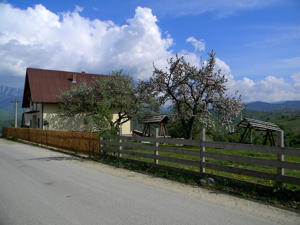 [DSCN89383.jpg]