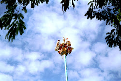 Reise nach Mexiko - 06