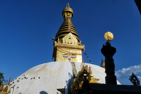 Obiective turistice Nepal: Templul maimutelor